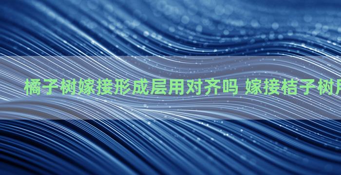 橘子树嫁接形成层用对齐吗 嫁接桔子树用什么砧木